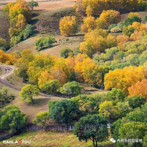 烏蘭布統(tǒng)的秋天 6