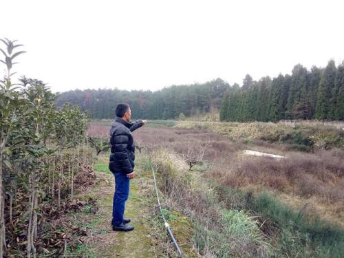 貴州福泉開展苗木生產自查