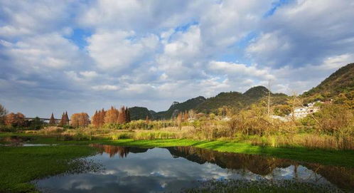 多措并舉助力生態(tài)環(huán)境修復(fù) 助推貴陽環(huán)城林帶提質(zhì)升級